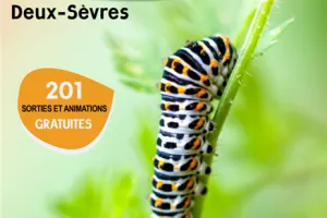 SORTIES NATURE : RAND’EAU BOCAGE