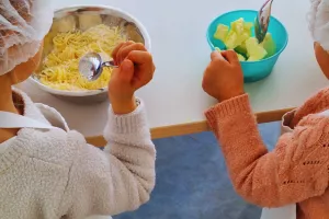Les Gressins aux Comté