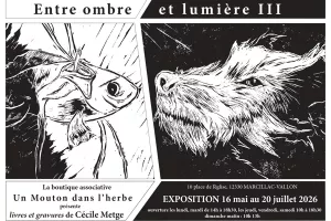 Exposition "Entre ombre et lumière"