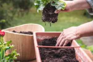 Atelier jardinage, réparation et rénovation de votre mobilier
