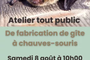 Atelier de fabrication d'abri à chauves-souris