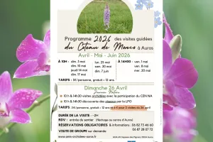 Visite des orchidées du sentier de Monco