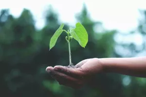 Groupe paroissial Laudato Si - atelier de fabrication de deux produits écologiques