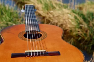 Concert du duo "Petite Musique"