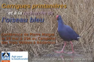LPO PRÉSENTATION DE DEUX FILMS AVEC PIERRE MAIGRE