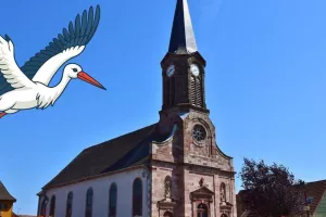Chasse aux cigognes