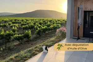 RDV GOURMAND AU DOMAINE ANQUEVEN