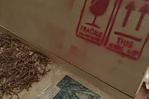 Exposition " Allégorie d’une mise en boîte – Regard sur l’archéologie "