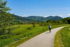 Balades familiales sur les voies vertes des Hautes Vosges