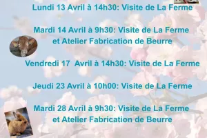 A la rencontre des animaux de la ferme