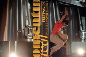 Festival de danse Momentum