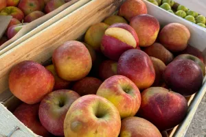 Marché gourmand animé