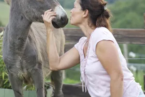 Visite sur rdv de l'asinerie Turs'Ane