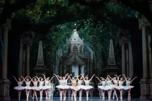 Projection "Le songe d’une nuit d’été"