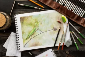 Exposition aquarelle et autres techniques
