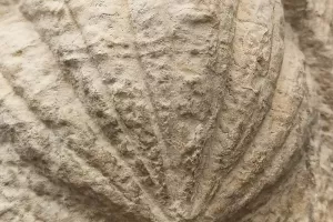 Conférence de Patrice Foissac : "Les chemins de pèlerinage en Quercy"