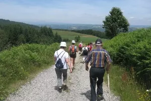 Randonnée pédestre accompagnée