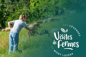 VISITES DE FERMES 2026: LES SAVEURS DU CASTANET