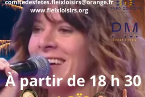 17ème Fleixtival
