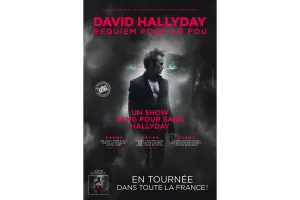 DAVID HALLYDAY
