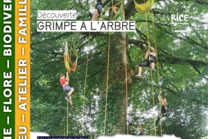 MILLEVACHES - Grimpe d'arbre