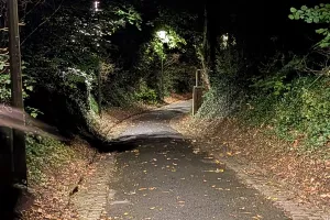 Sortie nature à Laon : "Balade nocturne"