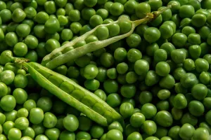 Fête des petits pois