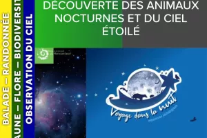 ALPES AZUR MERCANTOUR - Promenade crépusculaire : découverte des animaux nocturnes et du ciel étoilé