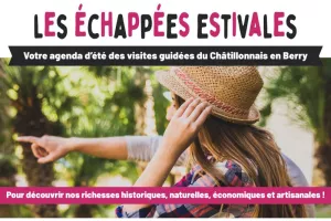 Les Échappées Estivales : Promenades nature accompagnées à la découverte de la biodiversité locale