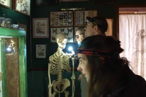 La nuit des musées à la Cité des Insectes