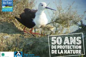 Oiseaux et Nature de la Réserve Naturelle