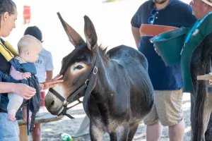 Mercredis du Lac : En famille au Lac