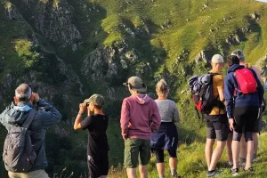 Sortie sur les crêtes vosgienne