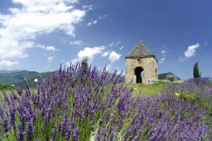 VISITE COMMENTÉE DU MUSÉE, DU CONJURADOR ET DE L’ÉGLISE