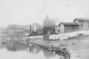Balade en bords de Vienne - Visite Guidée