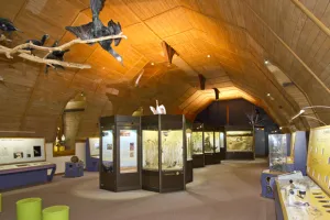 Nuit des Musées au muséum d'histoire naturelle de Blois