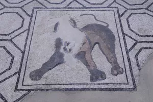Augustoritum : Sur les pas de la ville antique - Visite Guidée