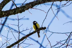 La fête de la nature à Mont-Dauphin