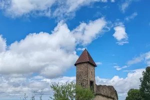 Chantier de bénévoles au Château de Chevreaux