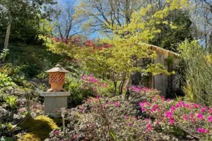 Festivités au jardin