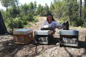 Découverte de l'apiculture autours de Marseille
