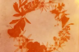 Atelier initiation à la création de carte végétale, technique anthotype au curcuma