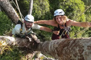 Kimboto, voyage au coeur de la forêt guyanaise