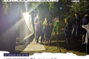 Nuit des papillons