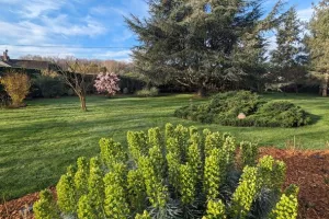Visite découverte libre du jardin