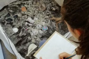 Atelier de pratique artistique | Fouiller Relever Révéler