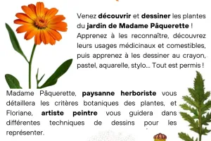 Stage dessin-peinture : Balade Botanique