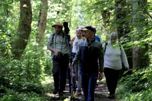 Balade nocturne aux Saligues de Prentigarde