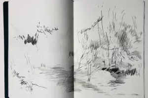 Stage : Le dessin comme espace d'exploration