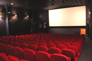 Soirée cinéma, à la Micro-Folie